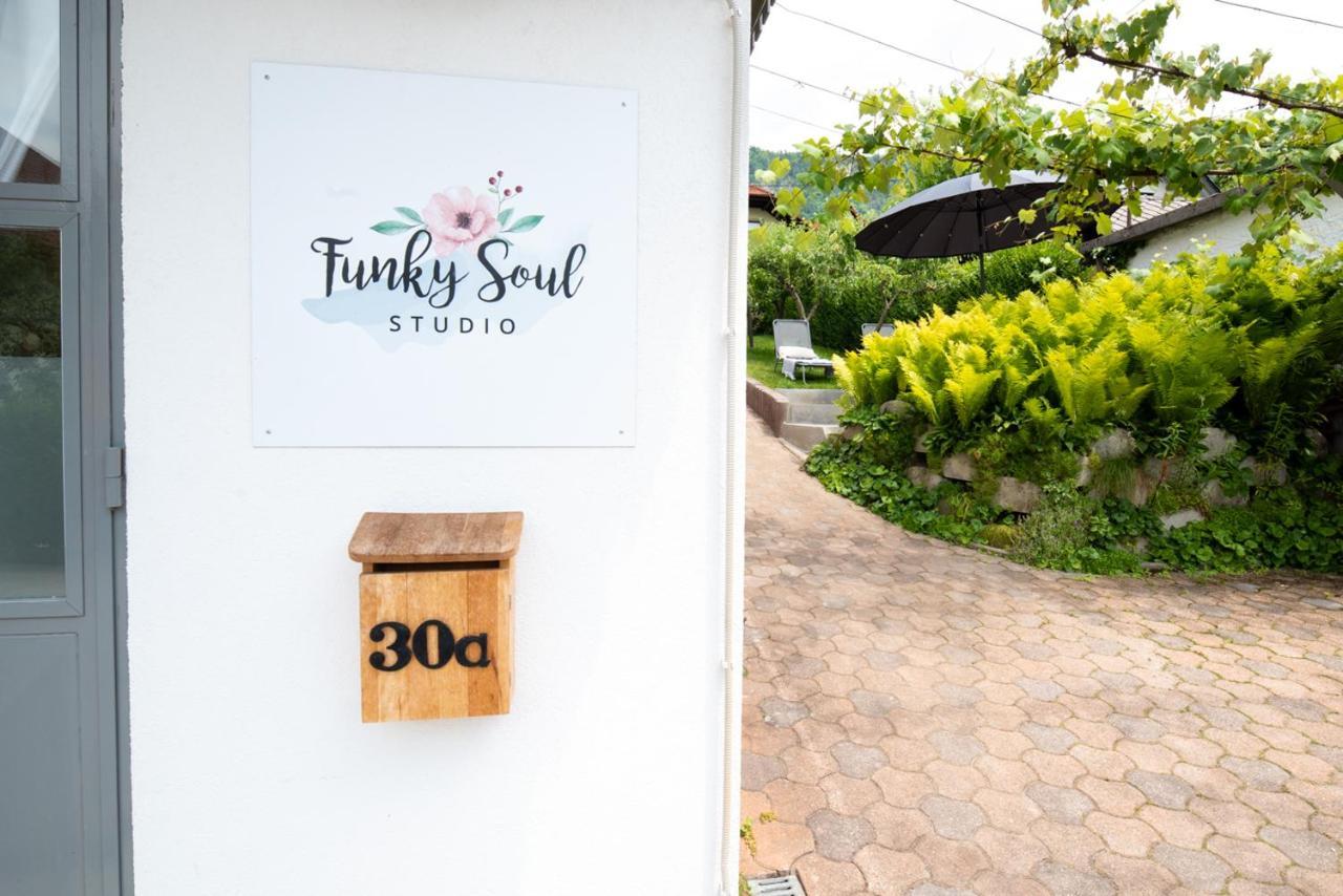 Funky Soul Studio Zirovnica Esterno foto